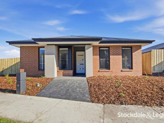 Brand new family home