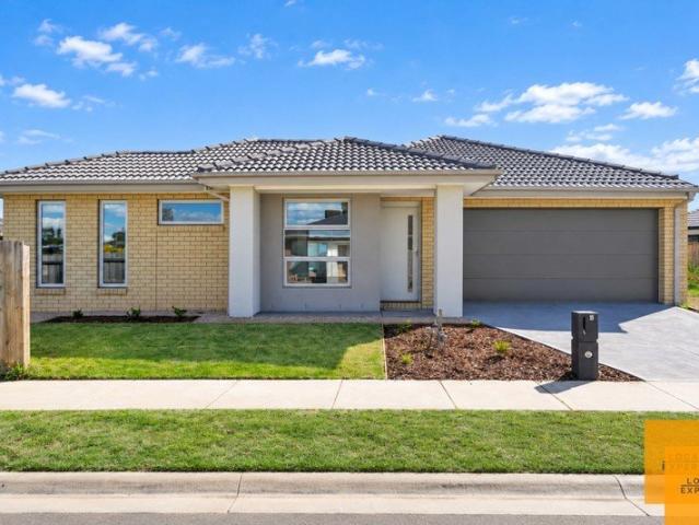 Brand New Family Home 4 Bedrooms, 2 Bathrooms