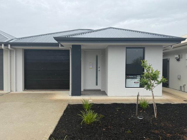 Brand New Family Home!