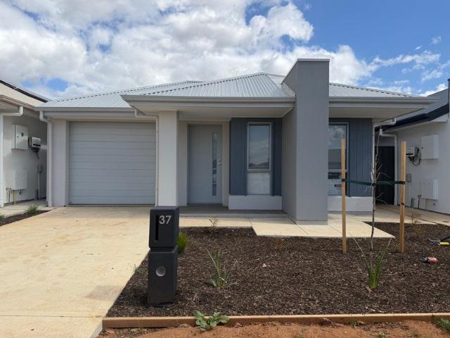 Brand New Family Home!