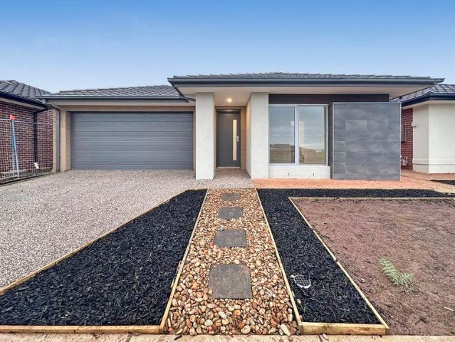 Brand new family home