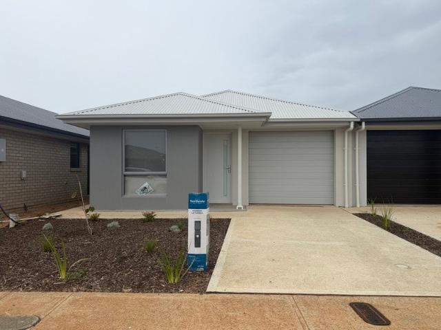 Brand New Family Home!