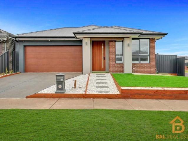 !Brand New Family home for Rent!