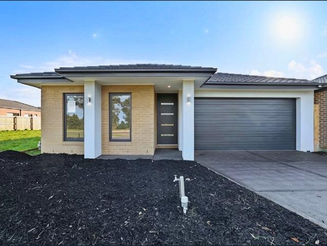 Brand New Family Home for Rent!