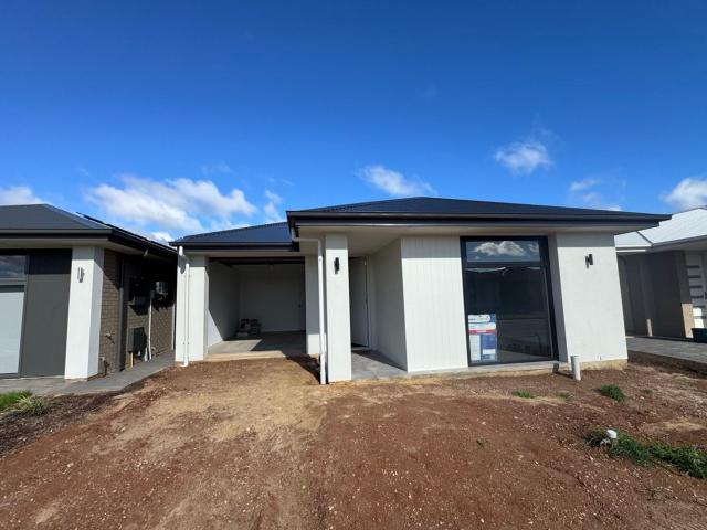 Brand New Family Home in a Convenient Angle Vale Location