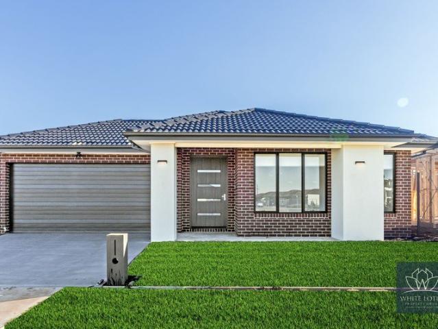 Brand New Family Home In Melton South!