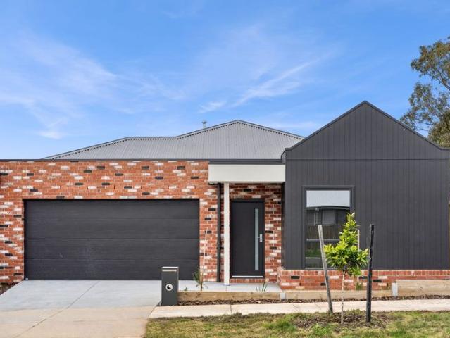 Brand New Family Home in Sought After Willow Estate