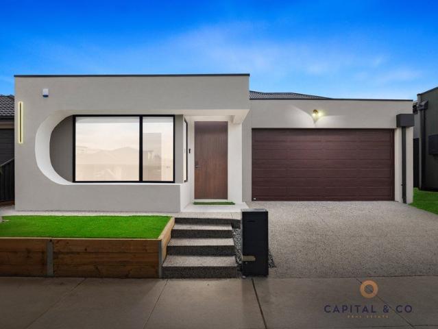 Brand New family Home with 2 Living