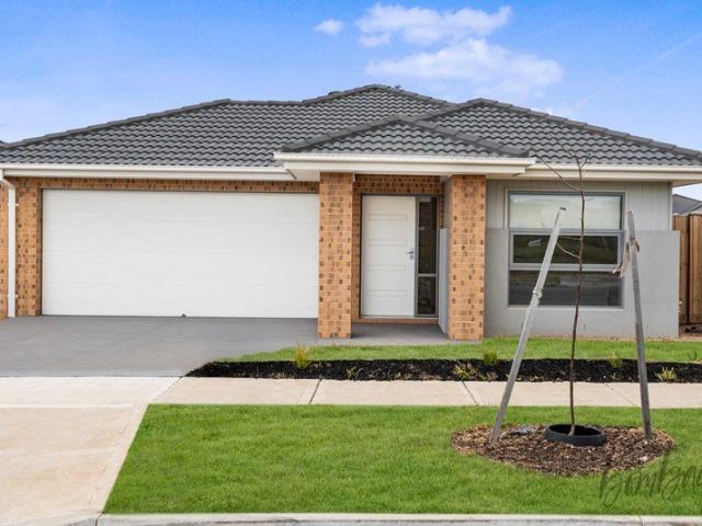 Brand New Family Home with Spacious Living and a Large Backyard