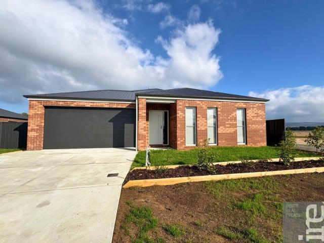 Brand New Family Home with Study in Warby Views Estate!