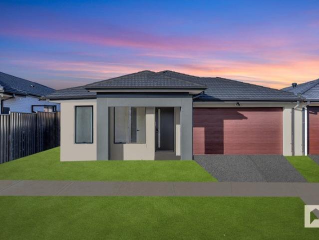 Brand New Family Luxury in Brookfield