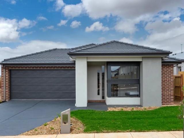 Brand New Family Living with Space, Style & Versatility