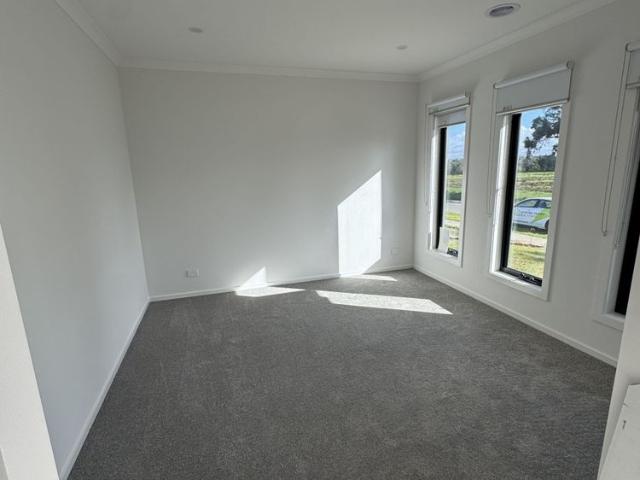 Brand New Family Living with Space to Spare