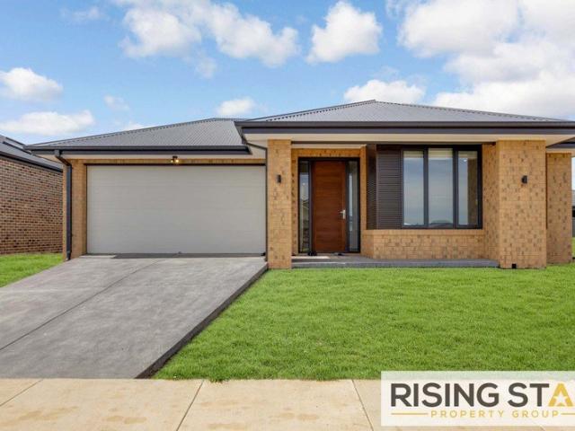 Brand New Family Living in the Heart of Lucas