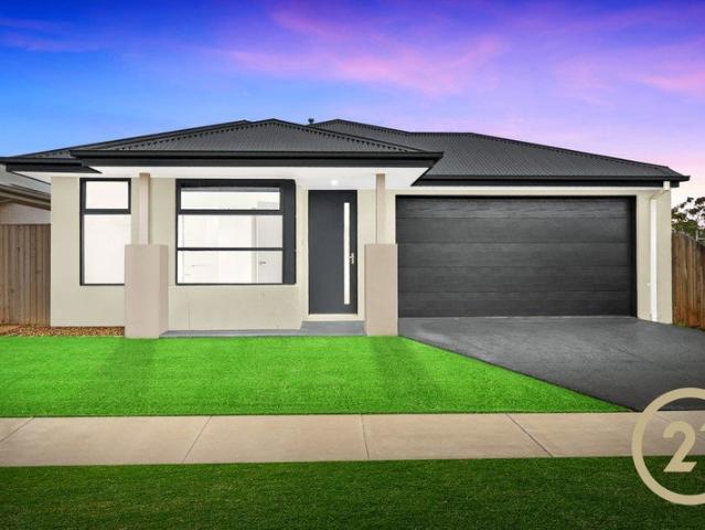 Brand New Family Living in the Heart of Willow Springs Estate