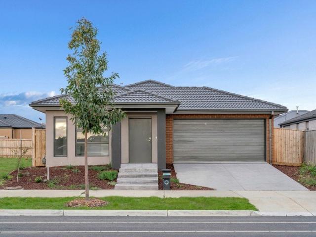 Brand New Family Living in Winter Valley