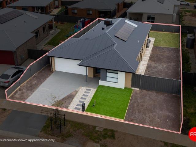 Brand New Family Living in Huntly