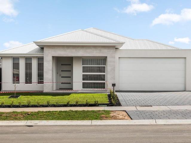 Brand New Family Living in Roseworthy