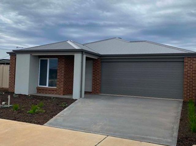 Brand New Family Living on Lakepark Boulevard