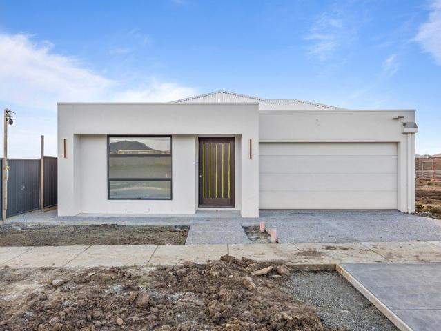 Brand New Family Living, Ready for You