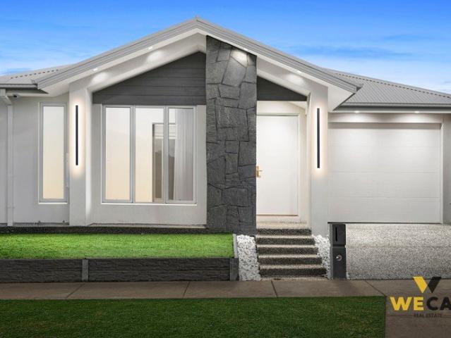 BRAND NEW HOUSE