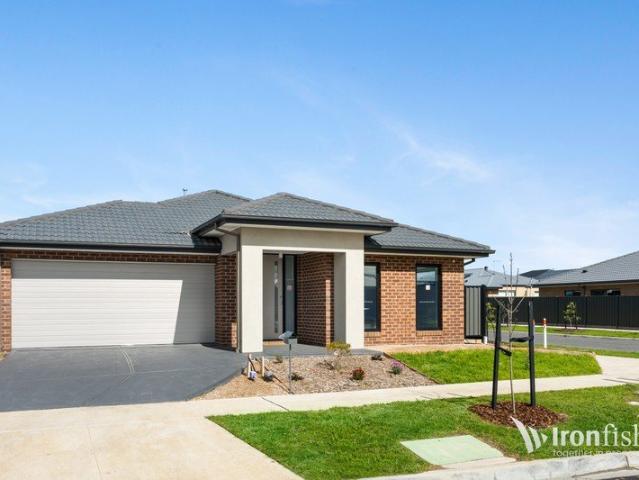 Brand New Home Featuring Study, Rumpus & Solar!