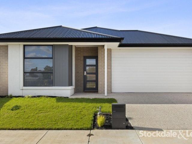 Brand New Home in the Heart of Drysdale