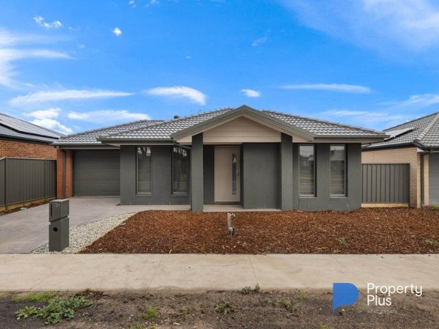 Brand New Home in a Convenient Huntly Location