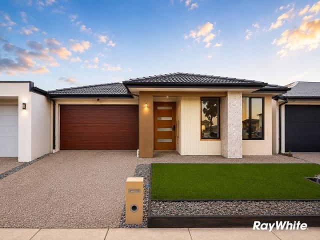 Brand New Home & Ready to Move in !
