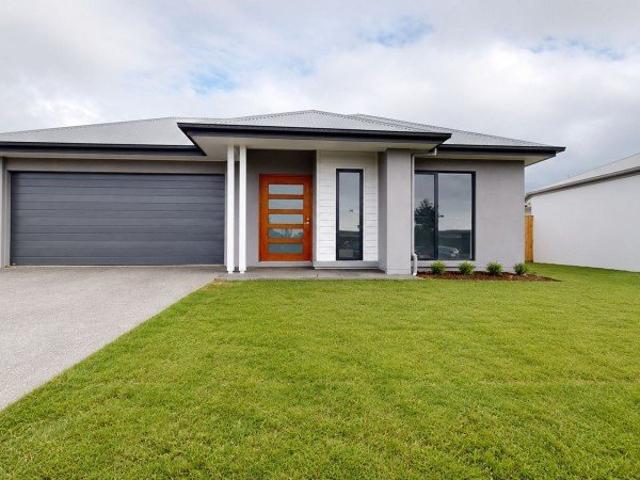 Brand new in Lilywood
