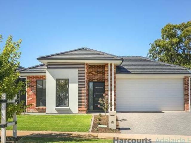 Brand New in Springbrook