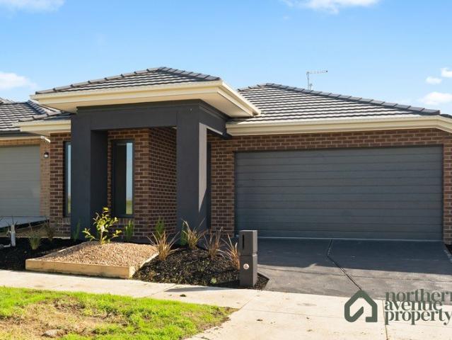 Brand New Living in Mambourin