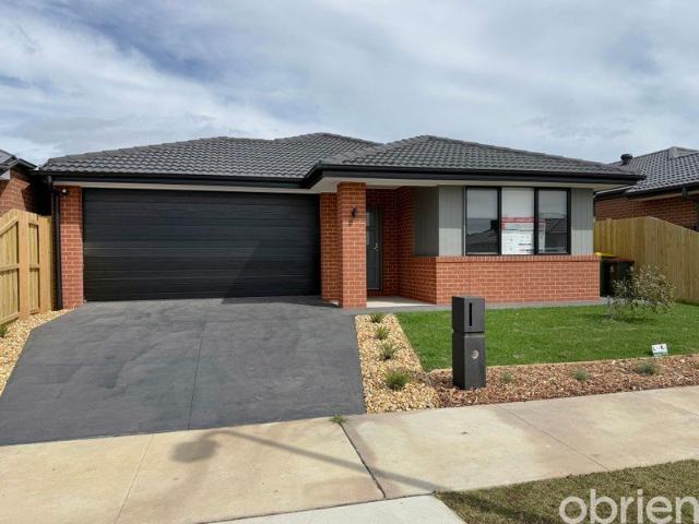 Brand New Living with Room for the Whole Family