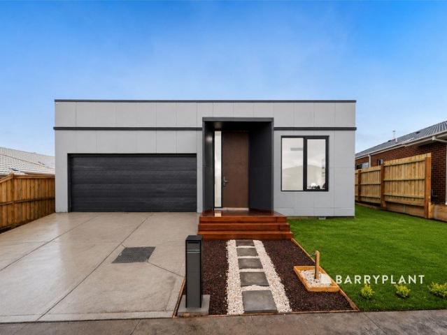Brand New Luxury Living