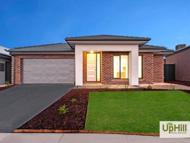 Brand New Luxury Living Ready to Move In!
