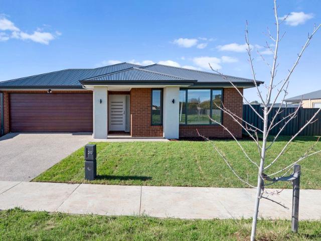 Brand New Luxury with Space for the Whole Family