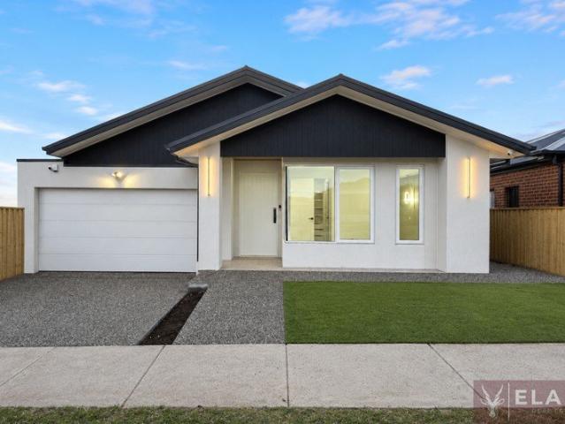 Brand New Luxurious Family Living with Two Master Suites
