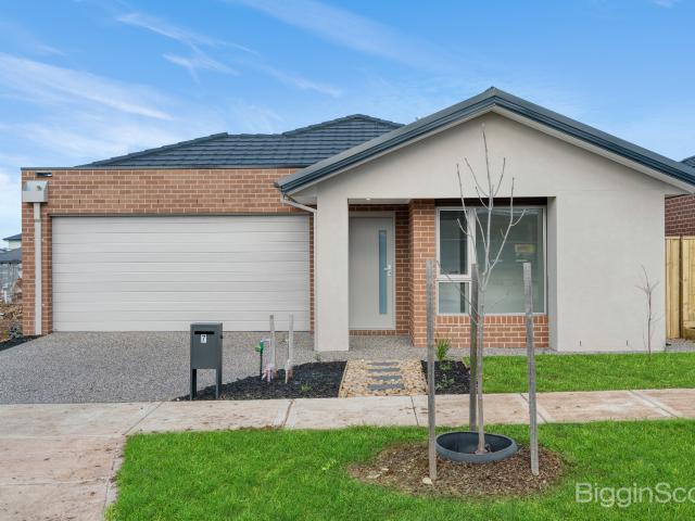 Brand New Modern Family Home in the Heart of Manor Lakes