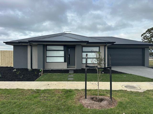 Brand New Modern Living in Morwell
