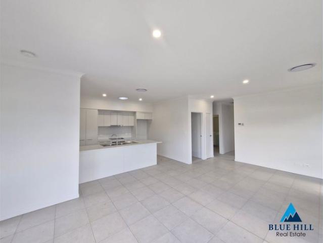 Brand New Modern 4 Bedroom Family Home | First Lease | Great Lochinvar Location with huge backyard