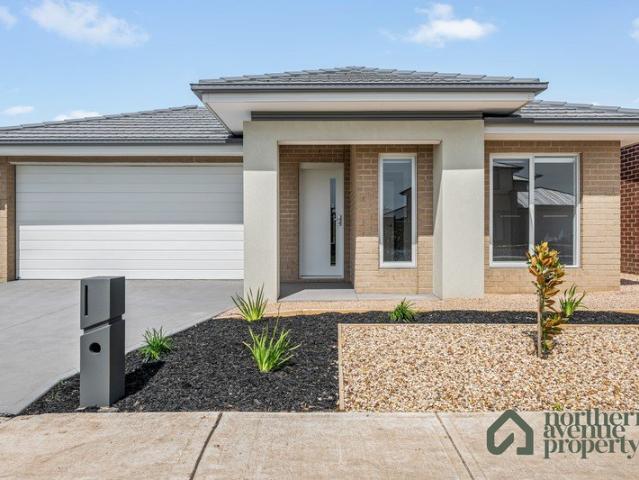 Brand New, Spacious & Ready to Enjoy!