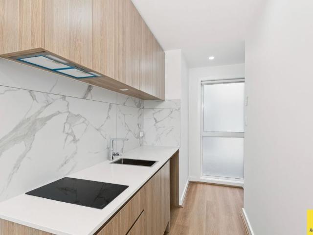 Brand New Studio Living in the Heart of Avoca Park!