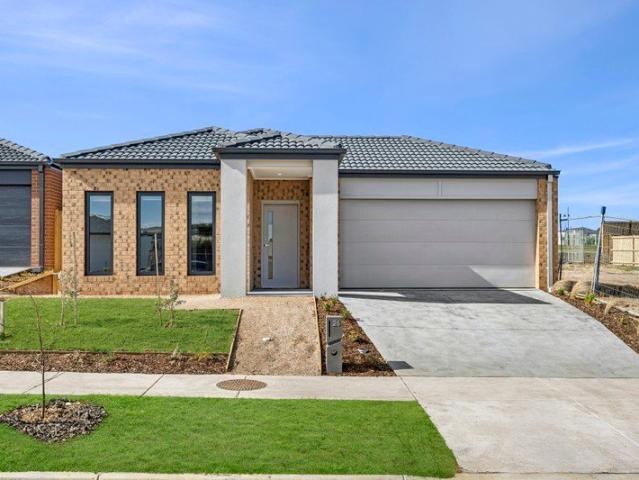 Brand New Sustainable Living Designed for Modern Shared Households
