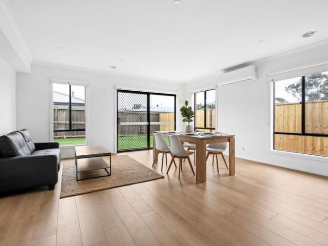 Brand new quality rooming house with utilities included