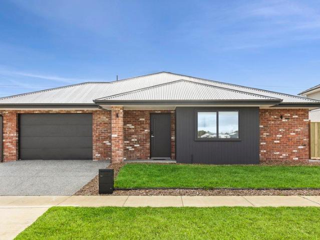Brand New Quality Rooming House