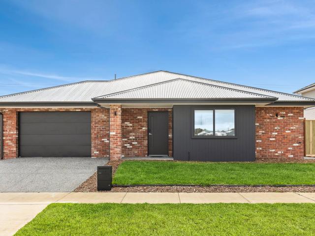 Brand New Quality Rooming House