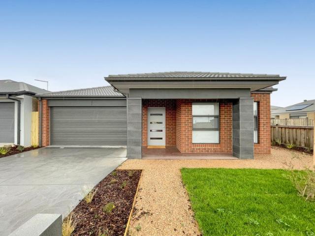 Brand New Quality Rooming House