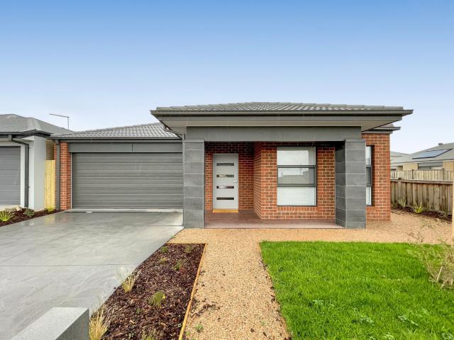 Brand New Quality Rooming House