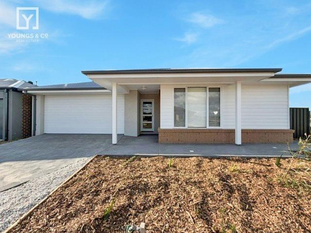 Brand New & Ready to Move In