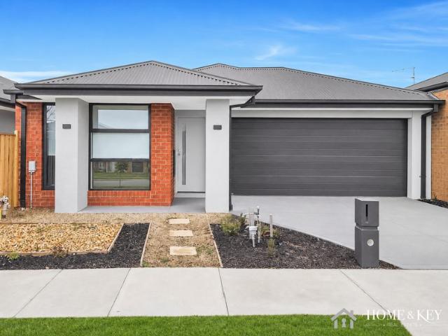 Brand New! Ready To Move In